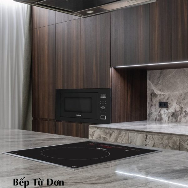 Bếp từ đơn PDN Q5566