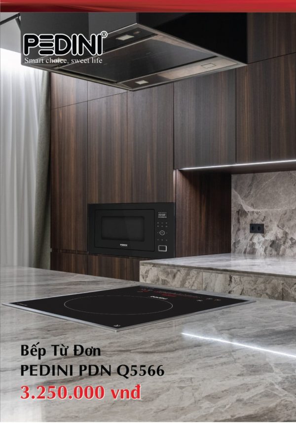 Bếp từ đơn PDN Q5566