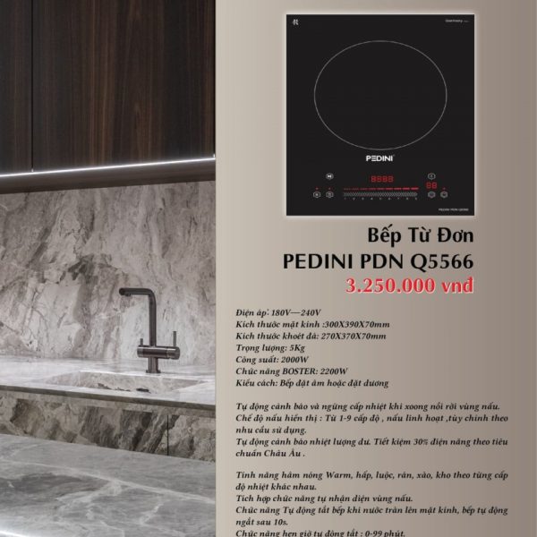 Bếp từ đơn PDN Q5566