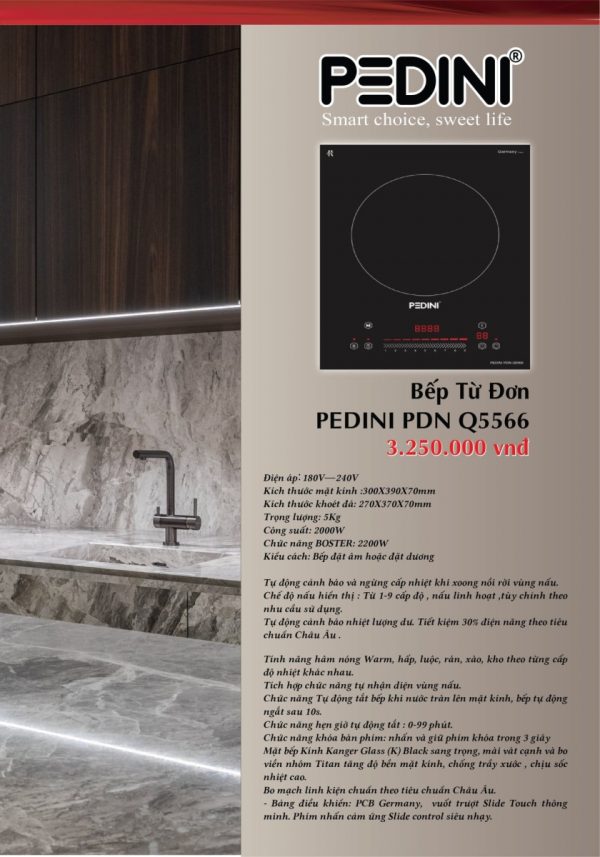 Bếp từ đơn PDN Q5566